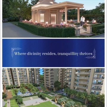 WhatsApp Image 2025-07-27 at 12.17.43 PM (2)